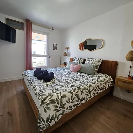 Gite Forestier - T2 Cosy Avec Terrasse & Parking Privatif -Centre Ville Colmar