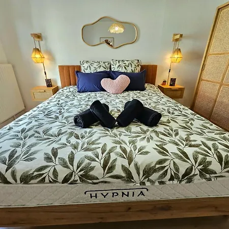 דירה Forestier - T2 Cosy Avec Terrasse & 2 Parkings Privatifs -centre