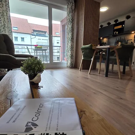 Forestier - T2 Cosy Avec Terrasse & 2 Parkings Privatifs -centre Ville- Classement Ministeriel 4 Etoiles Apartmán Colmar