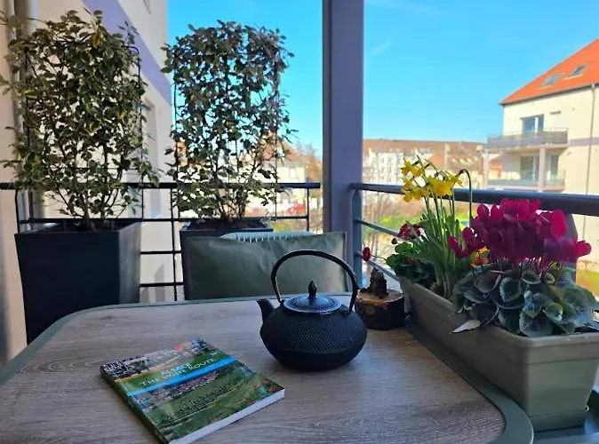 Apartment Forestier - T2 Cosy Avec Terrasse & 2 Parkings Privatifs -centre Colmar
